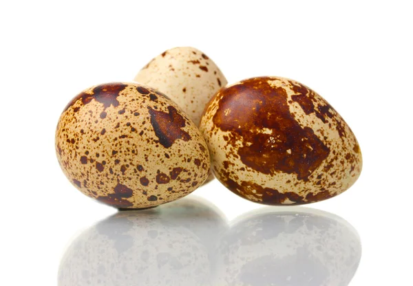 Üç Bıldırcın yumurta isilated beyaz — Stok fotoğraf