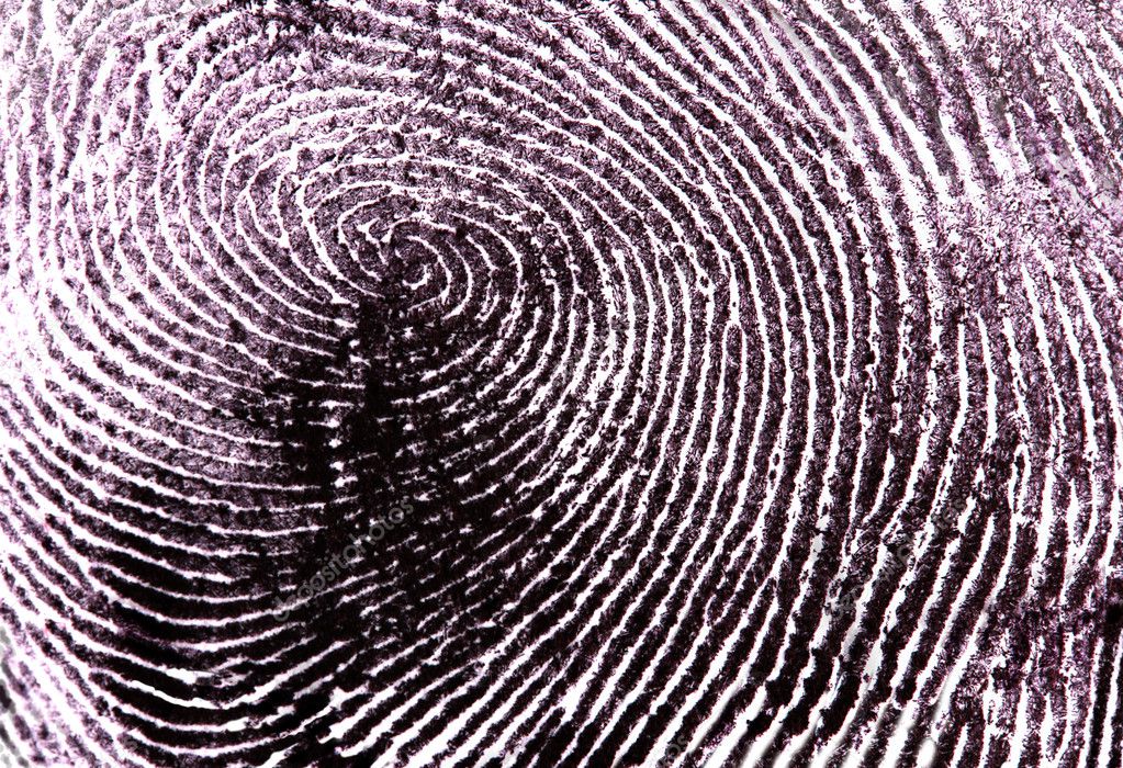 Fingerprint isolated on white