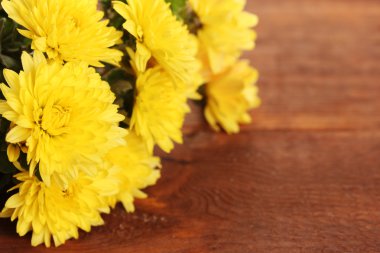 ahşap zemin üzerine sarı kasımpatı çiçekleri