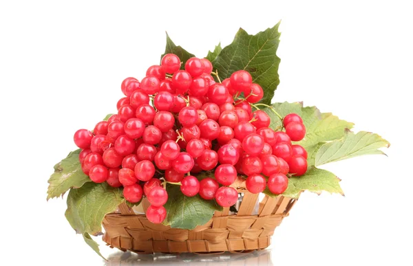 Piros bogyós gyümölcsök a kosárban elszigetelt fehér labdarózsa — Stock Fotó