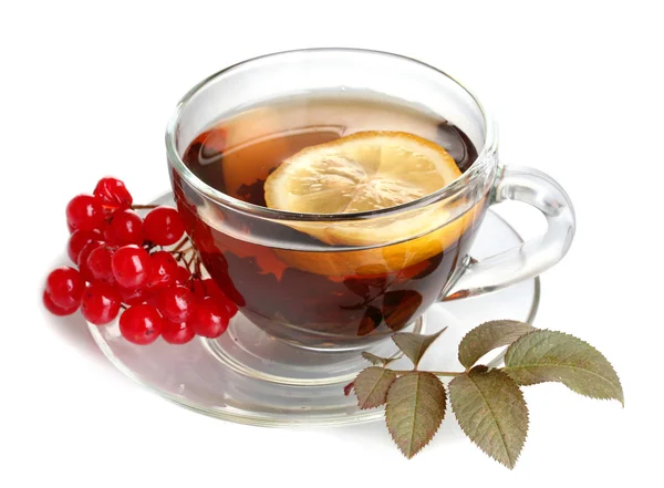 Black tea with red viburnum and lemon in glass cup isolated on white — Stock Photo, Image