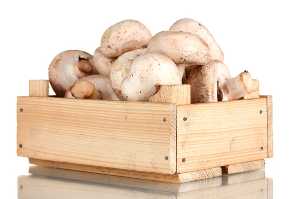 Свежие грибы в деревянной коробке, изолированной на белом — стоковое фото