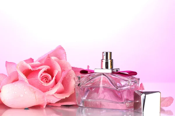 Botella de perfume y rosa rosa sobre rosa — Foto de Stock