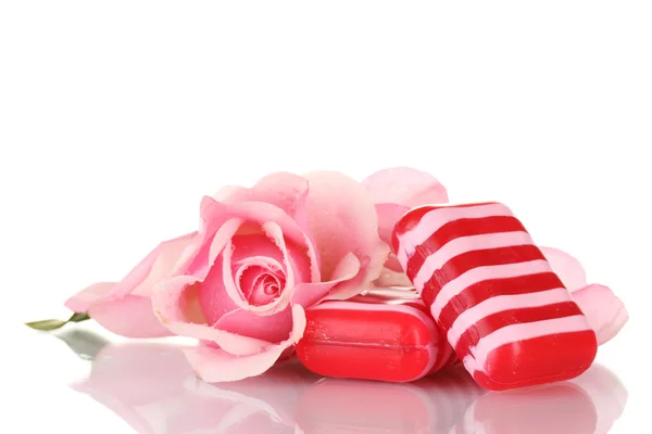 Два мила і рожева троянда ізольовані на білому — стокове фото