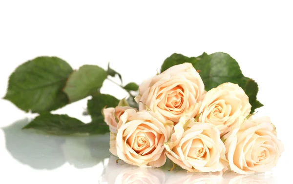 Bukett med vita rosor isolerade på vitt — Stockfoto