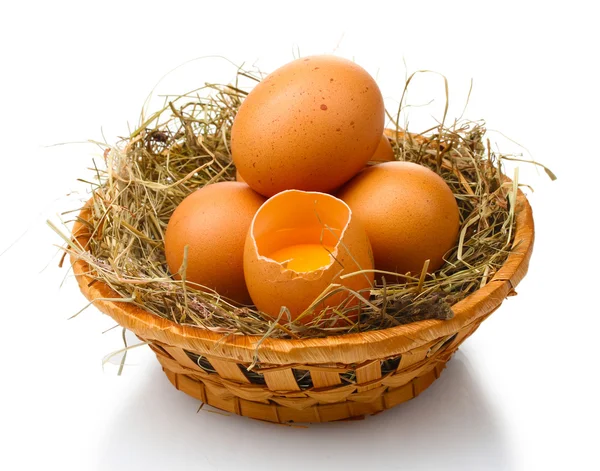 Κοτόπουλο αυγά σε φωλιά απομονωθεί σε λευκό — Φωτογραφία Αρχείου
