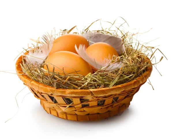 Kuřecí vejce v hnízdě izolované na bílém — Stock fotografie