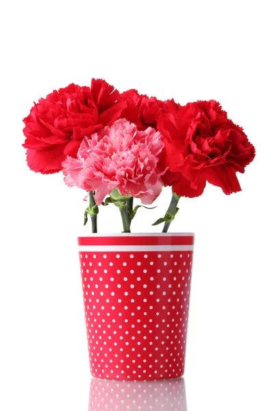Bouquet of carnations in a glass isolated on white — Stock Photo, Image