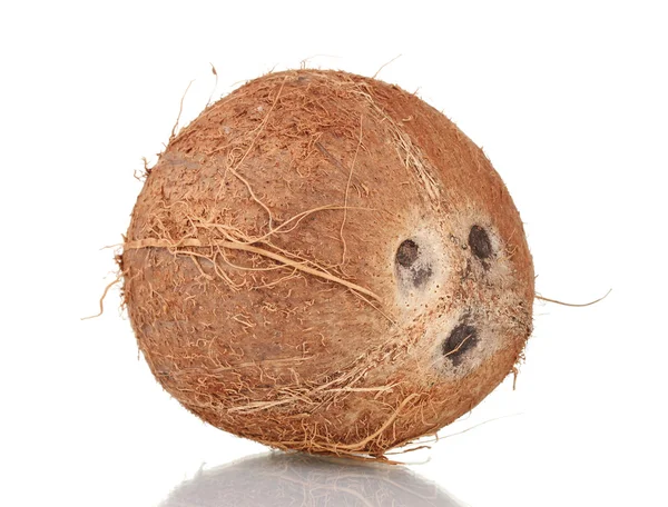 Jalá de coco aislado en blanco —  Fotos de Stock