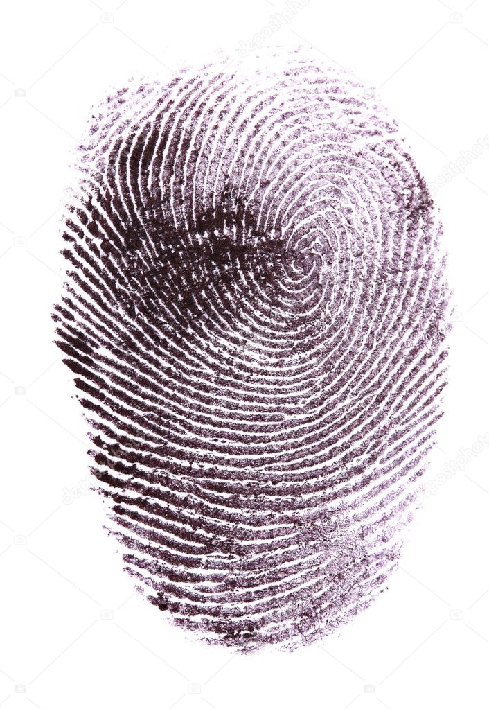 Fingerprint isolated on white
