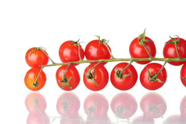 Mooie cherry tomaten op een tak op wit wordt geïsoleerd — Stockfoto