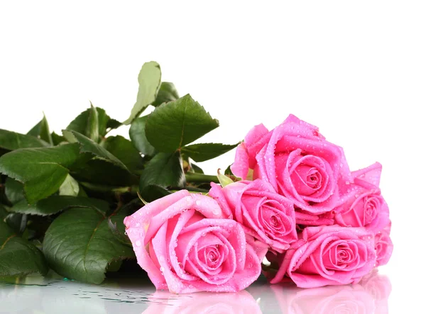 Vele roze rozen geïsoleerd op wit — Stockfoto
