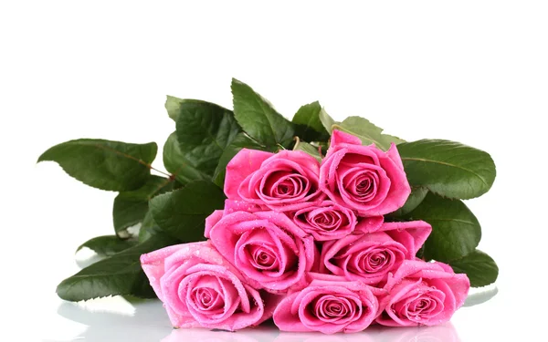 Muitas rosas rosa isoladas em branco — Fotografia de Stock