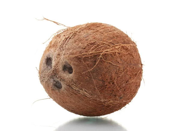 Oconut απομονωθεί σε λευκό — Φωτογραφία Αρχείου