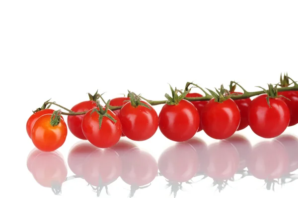 Mooie cherry tomaten op een tak op wit wordt geïsoleerd — Stockfoto