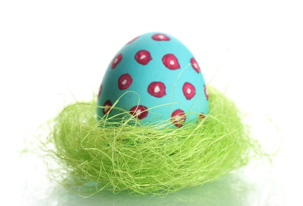 Modrý velikonoční vajíčko v ptáček hnízdo izolované na bílém — Stock fotografie