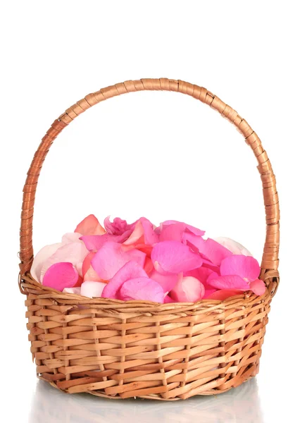 Mooie roze roze bloemblaadjes in mand geïsoleerd op wit — Stockfoto