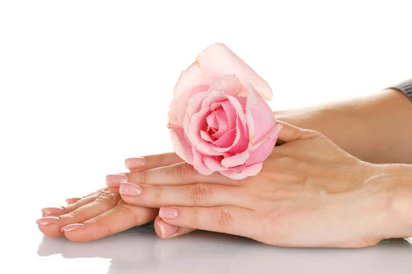 Розовая роза с руками на белом фоне — стоковое фото