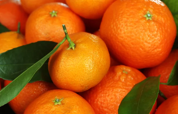 Rijp smakelijke mandarijnen met bladeren close-up — Stockfoto