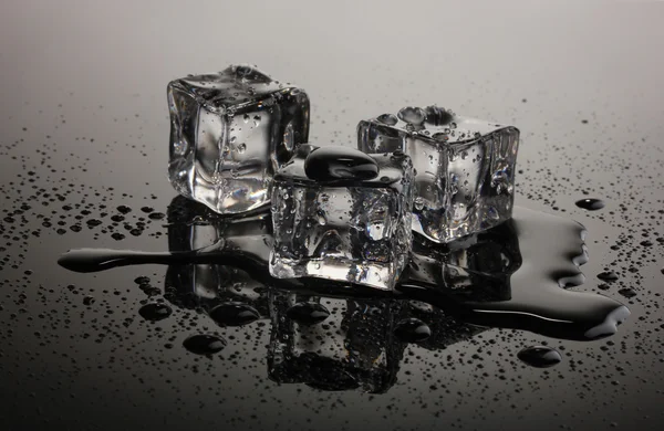 Таяние кубиков льда на сером фоне — стоковое фото