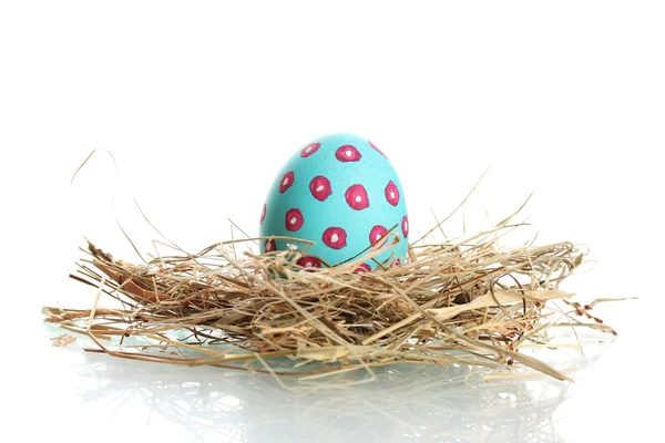 Küçük kuş, mavi Paskalya yumurta yuva üzerinde izole beyaz — Stok fotoğraf