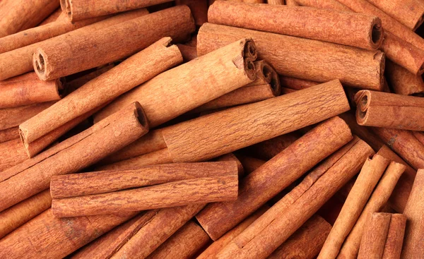 Cinnamon sticks closeup — Stock Photo, Image
