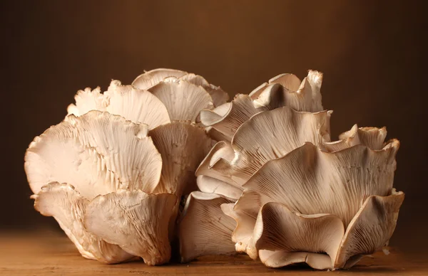 牡蛎蘑菇木表棕色背景上 — 图库照片