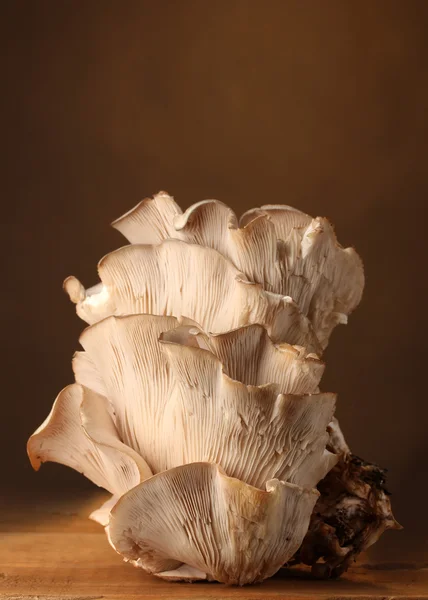 Ostra cogumelos mesa de madeira no fundo marrom — Fotografia de Stock