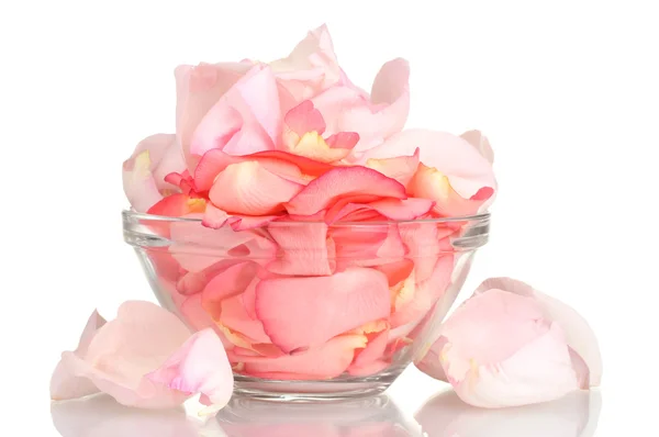Piękne różowe płatki róż w szklanej misce na białym tle — Zdjęcie stockowe