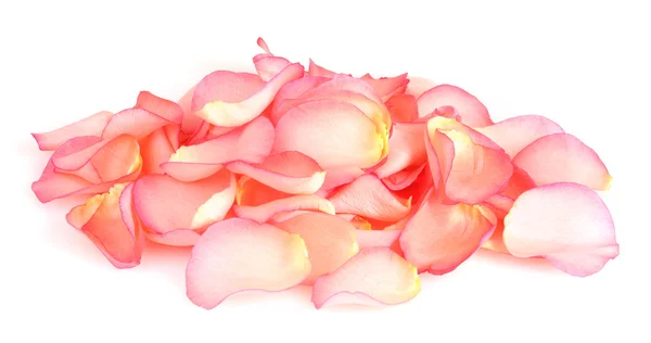Hermosos pétalos de rosa rosa aislados en blanco — Foto de Stock