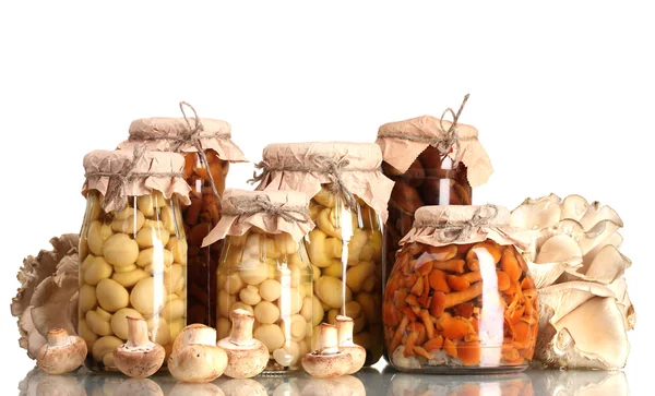Delicious marinated mushrooms in the glass jars and raw champignons isolate — Stock Fotó