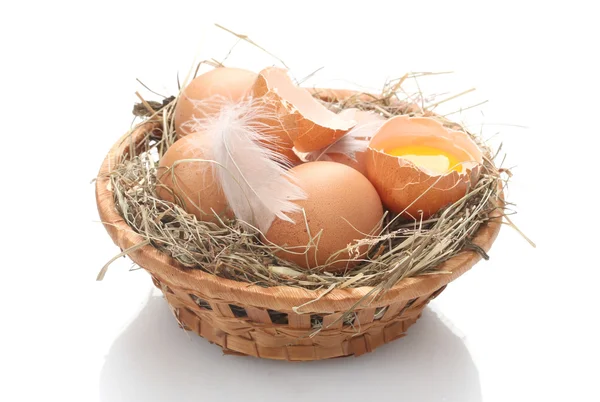 Kippeneieren in een nest geïsoleerd op wit — Stockfoto