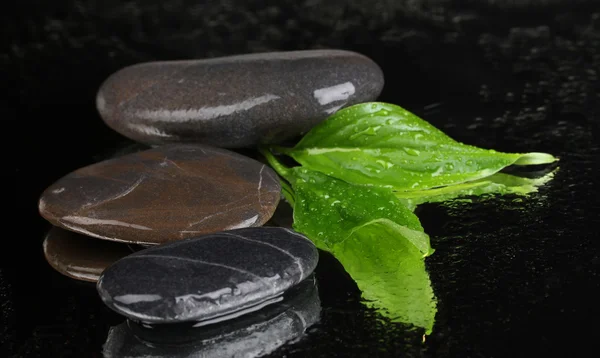 Spa steiner med vanndråper og blader på svart bakgrunn – stockfoto