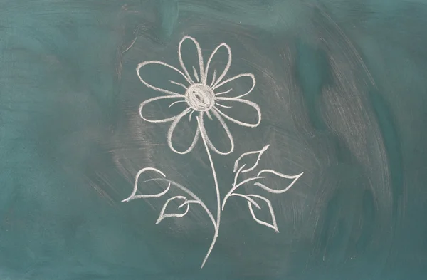 Blackboard with drawing flower closeup — Stock Photo, Image