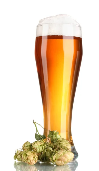 Μπύρα σε ένα ποτήρι και πράσινο λυκίσκου που απομονώνονται σε λευκό — Φωτογραφία Αρχείου