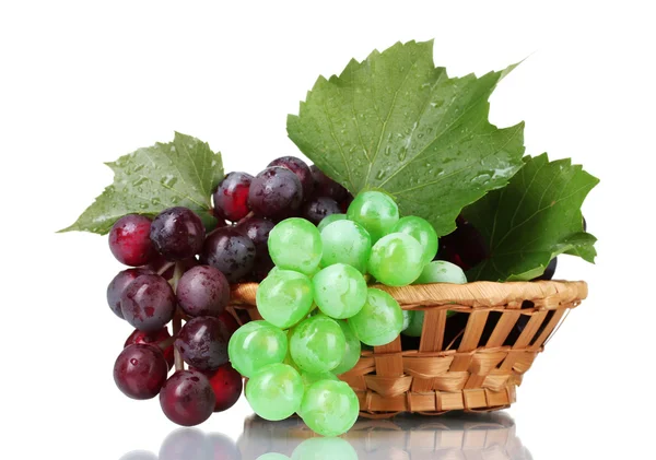 Ripe green and red grapes in basket isolated on white — Stock Photo, Image