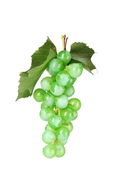 白で隔離された熟した緑のブドウ — ストック写真