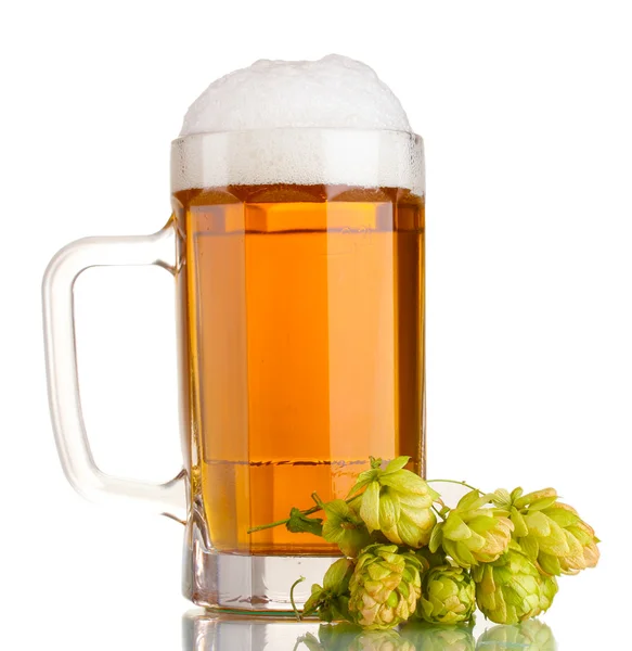 Ποτήρια μπίρας και πράσινο λυκίσκου που απομονώνονται σε λευκό — Φωτογραφία Αρχείου