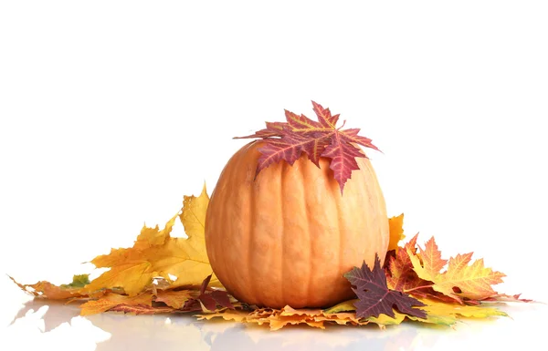 Abóbora madura e folhas de outono isoladas em branco — Fotografia de Stock