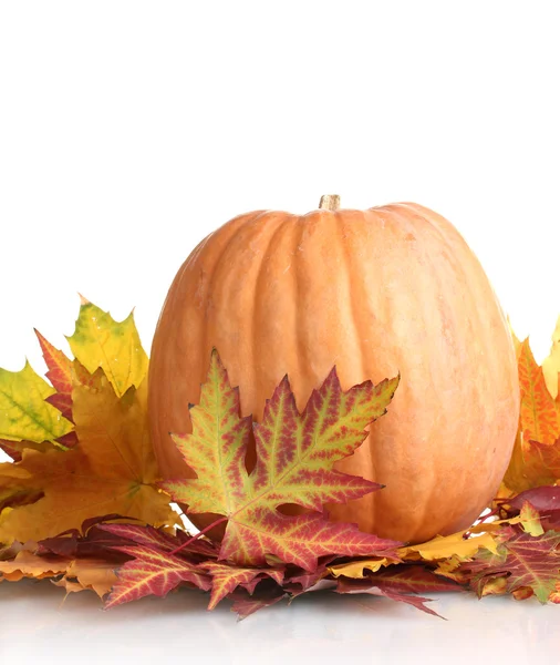Dojrzałe dynia i jesień liść na białym tle — Zdjęcie stockowe