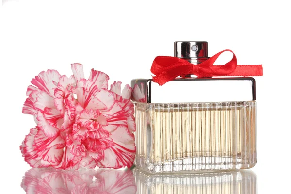 Flacon de parfum avec noeud rouge et œillet isolé sur blanc — Photo