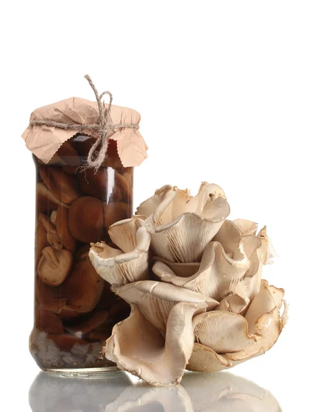 유리 항아리에 굴 버섯 맛 있는 절인된 버섯 격리 — 스톡 사진