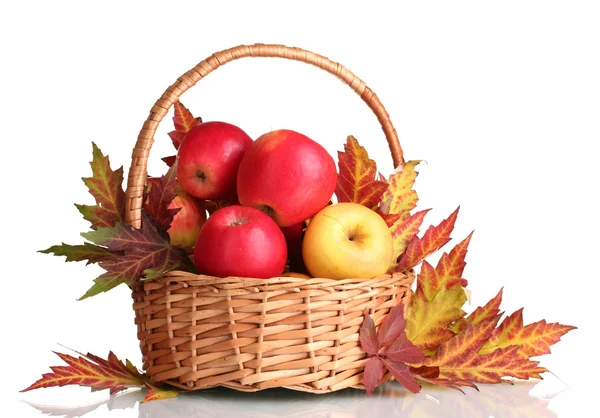 Hermosa cosecha de otoño en cesta y hojas aisladas en blanco — Foto de Stock