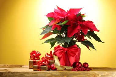 Beautiful poinsettia in flowerpot, gifts and Christmas balls on wooden tabl clipart