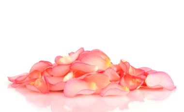 Beautiful pink rose petals isolated on white clipart