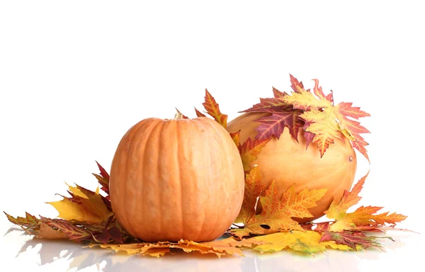 Twee rijpe pompoenen en herfstbladeren geïsoleerd op wit — Stockfoto