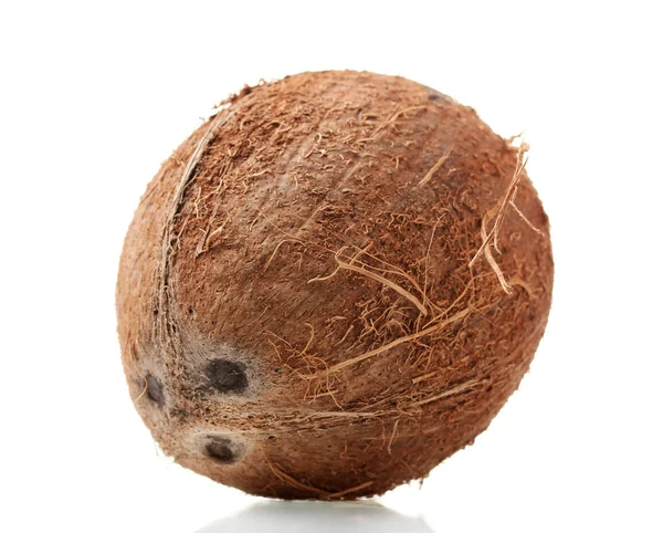 ? oconut 上白色孤立 — 图库照片