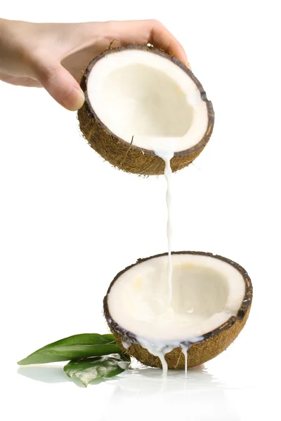 Kokos s kokosovým mlékem, izolované na bílém — Stock fotografie