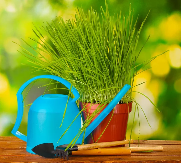 Зеленая трава в цветочном горшке на зеленом фоне — стоковое фото