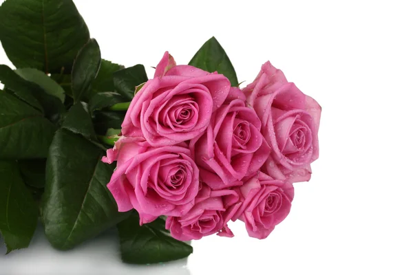 Багато рожевих троянд ізольовані на білому — стокове фото